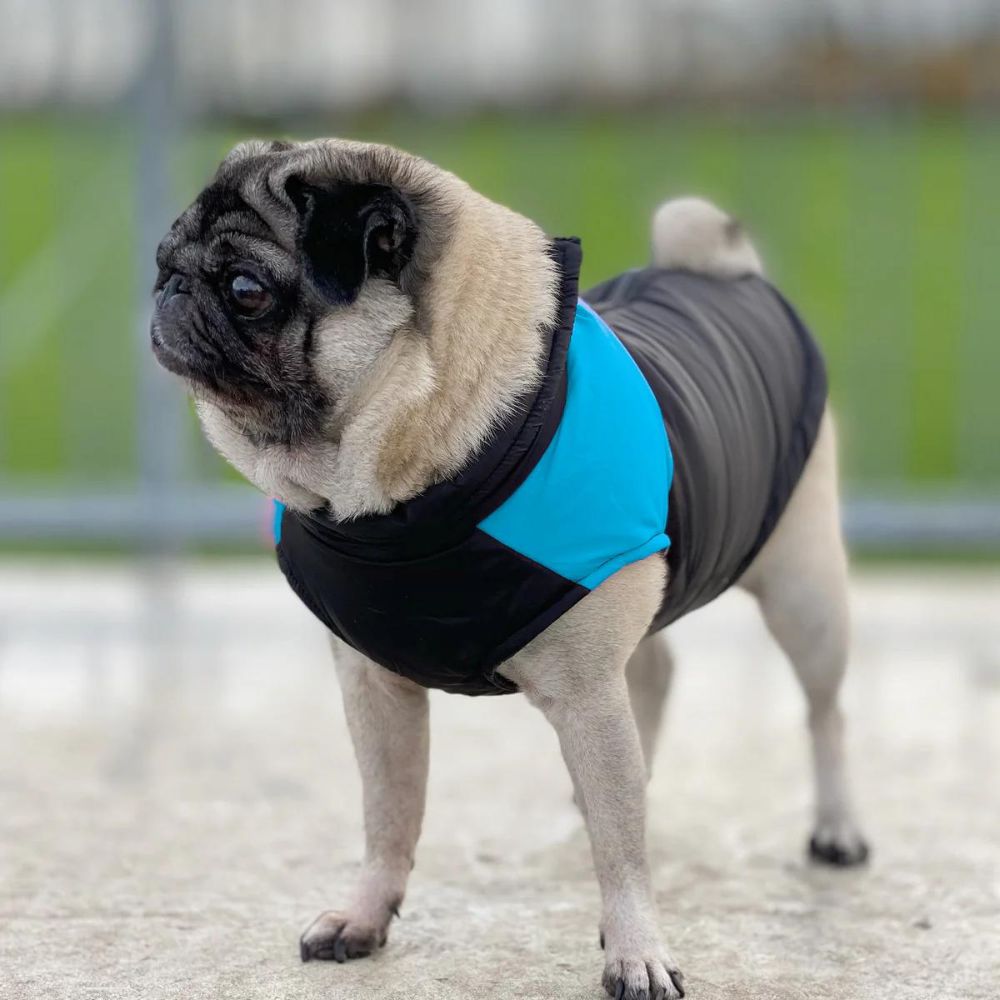 Dog Winter Jacket AussiesGoodsStore