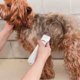 Dog Hair Trimmer Kit